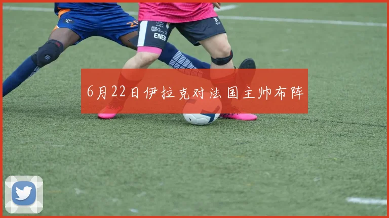 6月22日伊拉克对法国主帅布阵