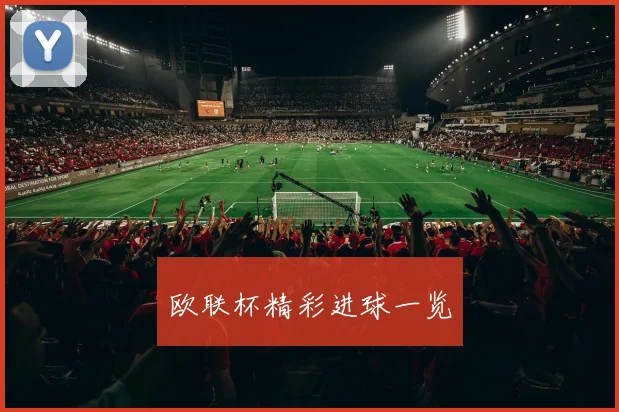 欧联杯精彩进球一览