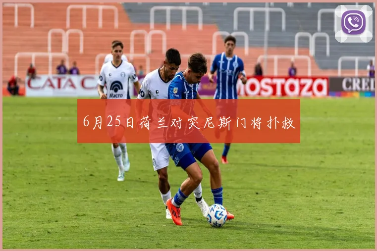 6月25日荷兰对突尼斯门将扑救