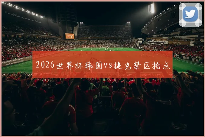 2026世界杯韩国vs捷克禁区抢点