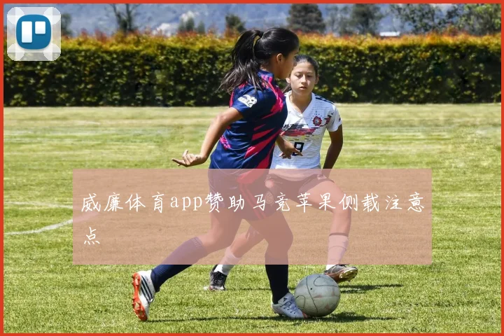 威廉体育app赞助马竞苹果侧载注意点