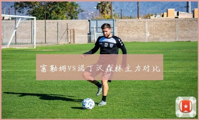 富勒姆vs诺丁汉森林主力对比