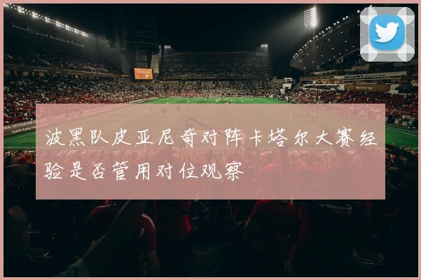 波黑队皮亚尼奇对阵卡塔尔大赛经验是否管用对位观察