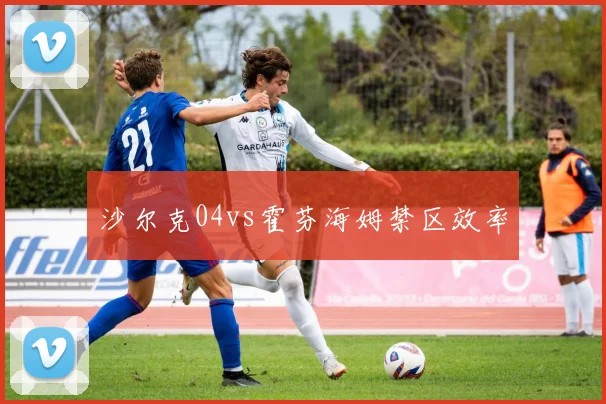 沙尔克04vs霍芬海姆禁区效率