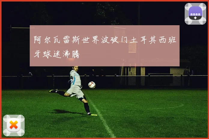 阿尔瓦雷斯世界波破门土耳其西班牙球迷沸腾