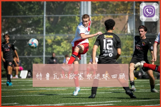 特鲁瓦vs欧塞尔进球回顾