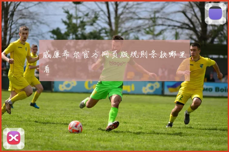 威廉希尔官方网页版规则条款哪里看
